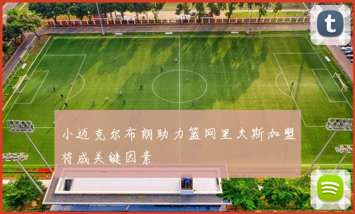 小迈克尔布朗助力篮网里夫斯加盟将成关键因素